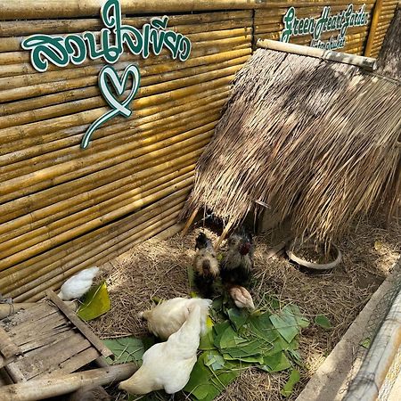 Greenheart Garden View Camp Phuket شاطئ كاتا المظهر الخارجي الصورة