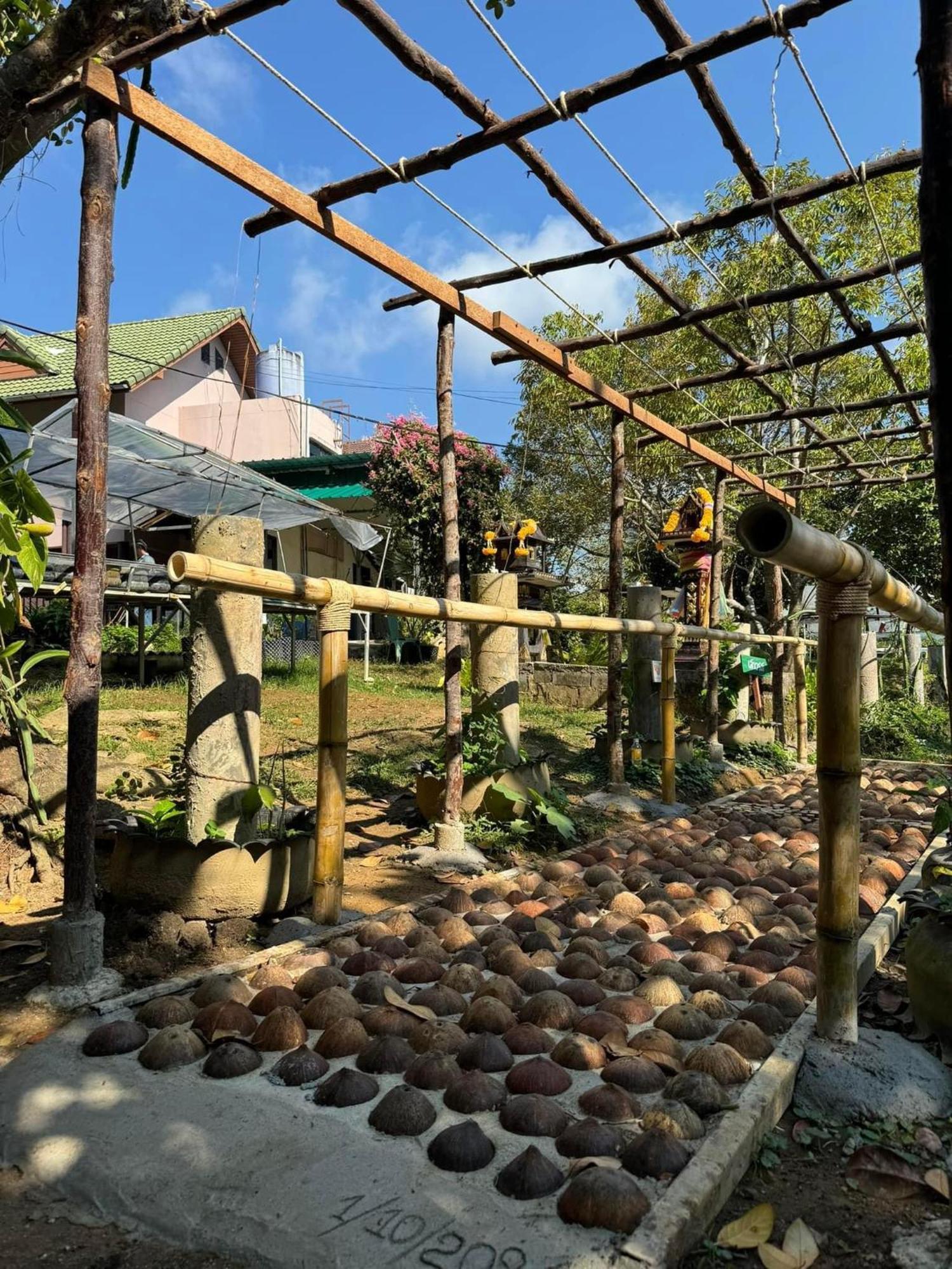 Greenheart Garden View Camp Phuket شاطئ كاتا المظهر الخارجي الصورة