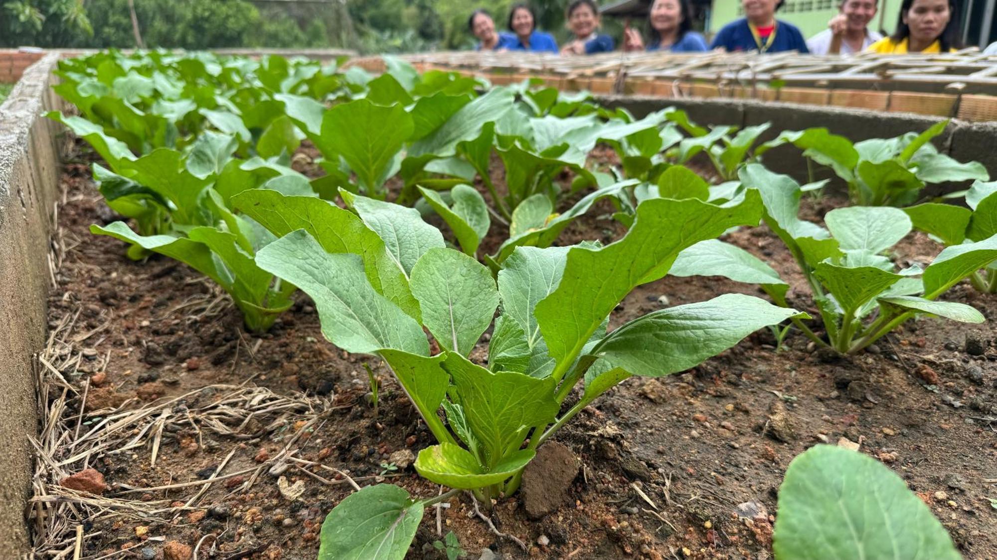 Greenheart Garden View Camp Phuket شاطئ كاتا المظهر الخارجي الصورة